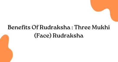 Benefits Of Rudraksha : Three Mukhi (Face) Rudraksha